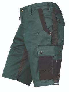 °Shorts 1803 oliv/anthrazit